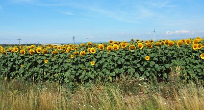dscn1398-a.jpg