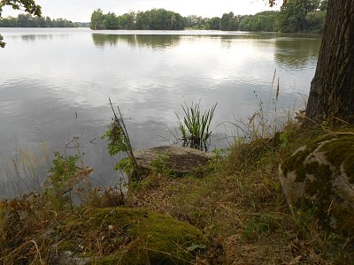 dscn1567-1.jpg