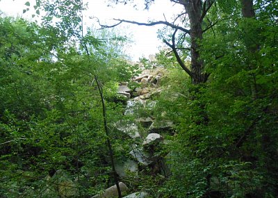 dscn1579-a.jpg