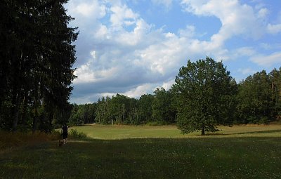 dscn1585-a.jpg