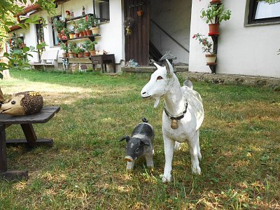 dscn1629-1.jpg