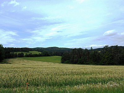 dscn1691-3.jpg
