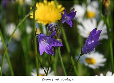 dscn1747-3.jpg