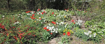 dscn2056-1.jpg