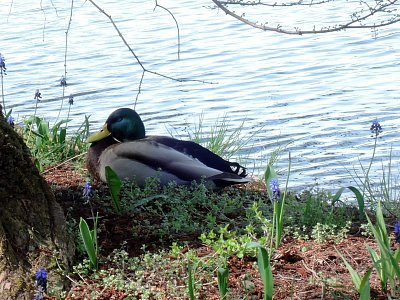dscn2068.jpg