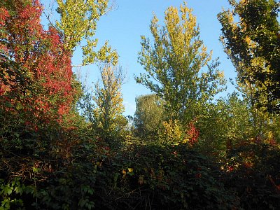 dscn2366.jpg