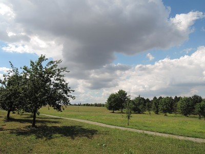 dscn2499-zadni-cast-zahrady.jpg