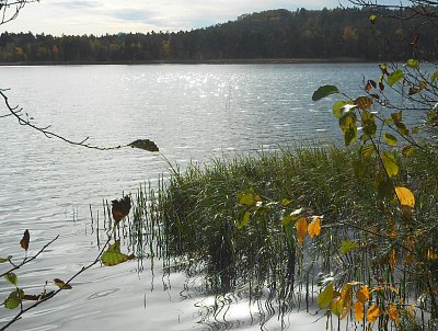 dscn2528-3.jpg