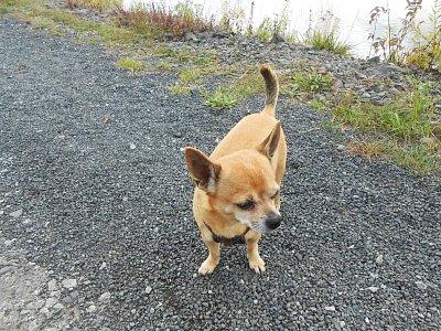 dscn2628.jpg