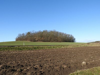 dscn2637-2.jpg