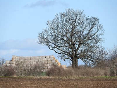 dscn2699-2.jpg