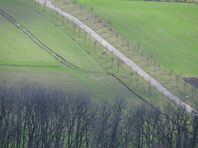 dscn2834-2.jpg