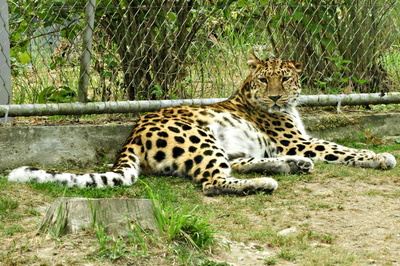 dscn3033.jpg