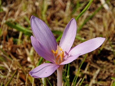 dscn3582-1.jpg
