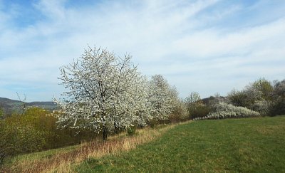 dscn3757-a.jpg