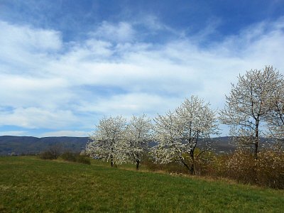 dscn3763.jpg