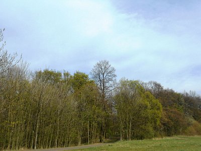 dscn3785-1.jpg