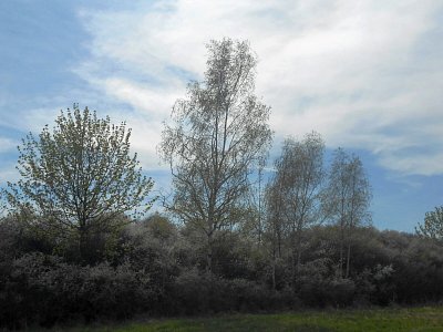 dscn3794-1.jpg