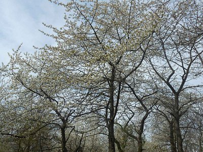 dscn3817-1.jpg