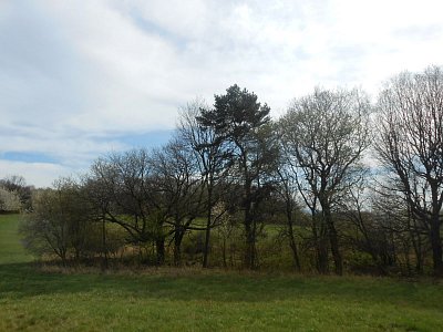 dscn3827-2.jpg