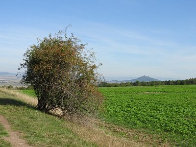 dscn3850-hazmburk.jpg