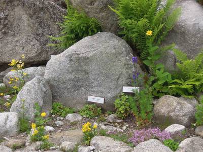 dscn3896-1.jpg
