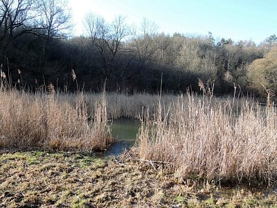 dscn4219.jpg