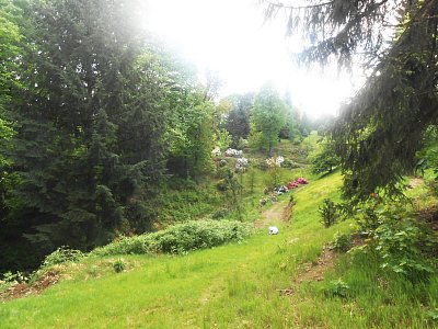 dscn4544-1.jpg