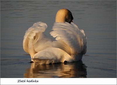 dscn4551-2.jpg