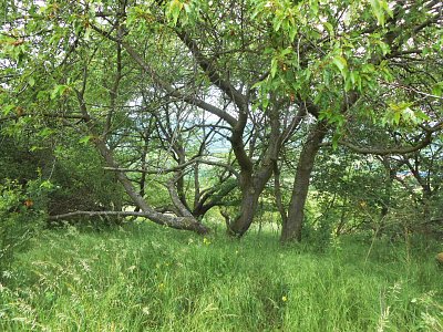 dscn4816.jpg