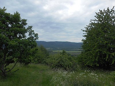 dscn4819.jpg