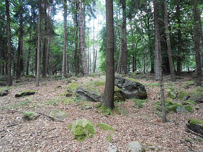 dscn4953.jpg
