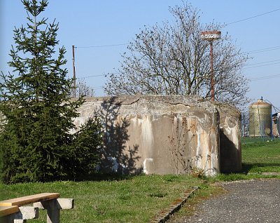 dscn5069ropik-ve-skolce-1.jpg