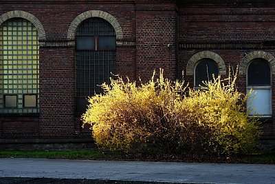 dscn5321.jpg