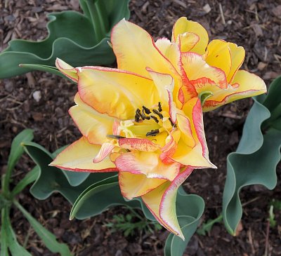 dscn5598.jpg
