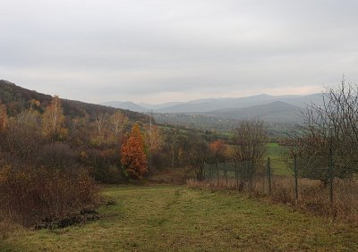 dscn5875-dolu.jpg