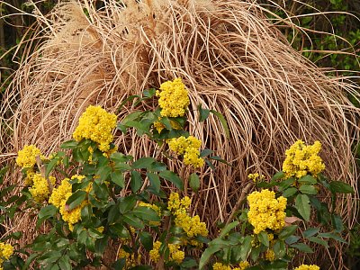dscn6170-2.jpg