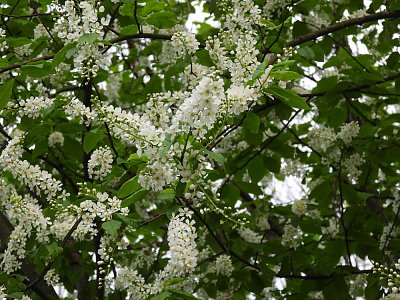dscn6176-3.jpg