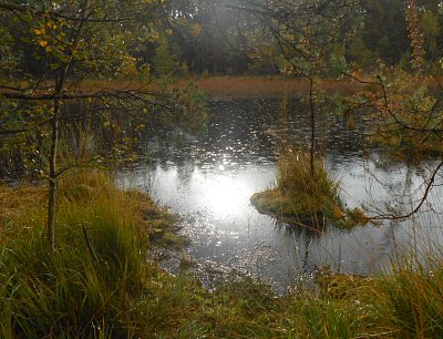 dscn6241-3.jpg