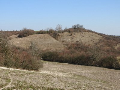 dscn6272strane-nad-suchym-potokem.jpg