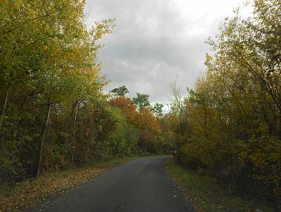 dscn6333.jpg