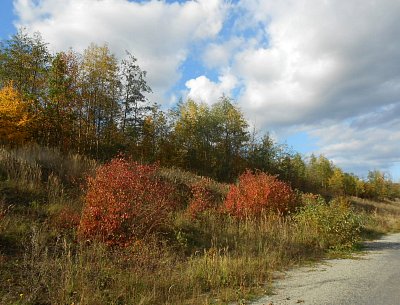 dscn6413-2.jpg