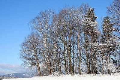 dscn6499-1.jpg
