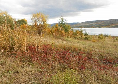 dscn6510.jpg
