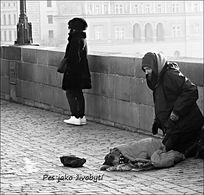 dscn6611-2.jpg