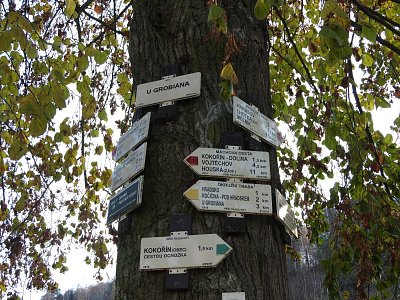 dscn6628-u-grobiana-rozcest.jpg