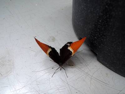 dscn6734.jpg