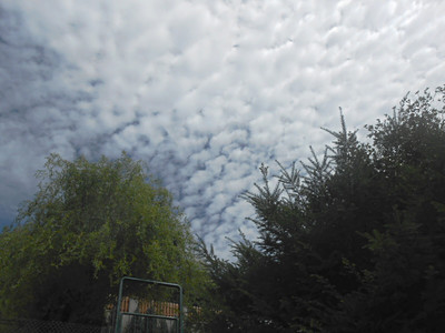 dscn6849-2.jpg