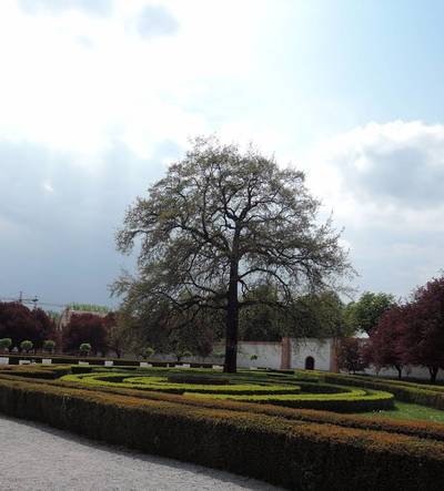 dscn6857.jpg