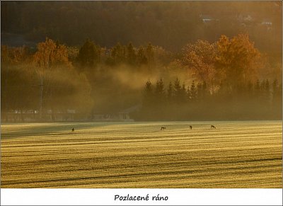 dscn6897-1.jpg